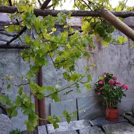 Maison Soleil - Il Giardino - Affitti Brevi Italia 公寓 *