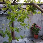 Maison Soleil - Il Giardino - Affitti Brevi Italia Daire *