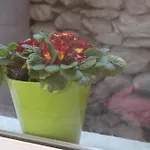 Maison Soleil - Il Giardino - Affitti Brevi Italia *