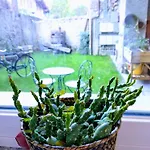 Maison Soleil - Il Giardino - Affitti Brevi Italia * Aosta