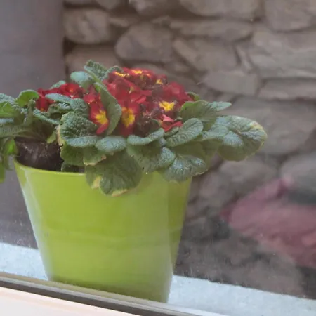 Maison Soleil - Il Giardino - Affitti Brevi Italia *