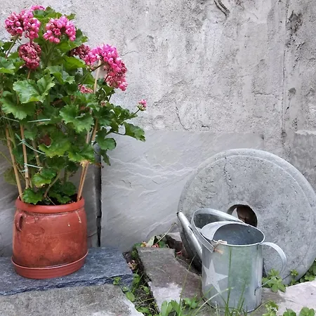 Appartement Maison Soleil - Il Giardino - Affitti Brevi Italia Aosta