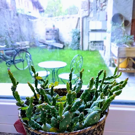 Maison Soleil - Il Giardino - Affitti Brevi Italia * أَويستا